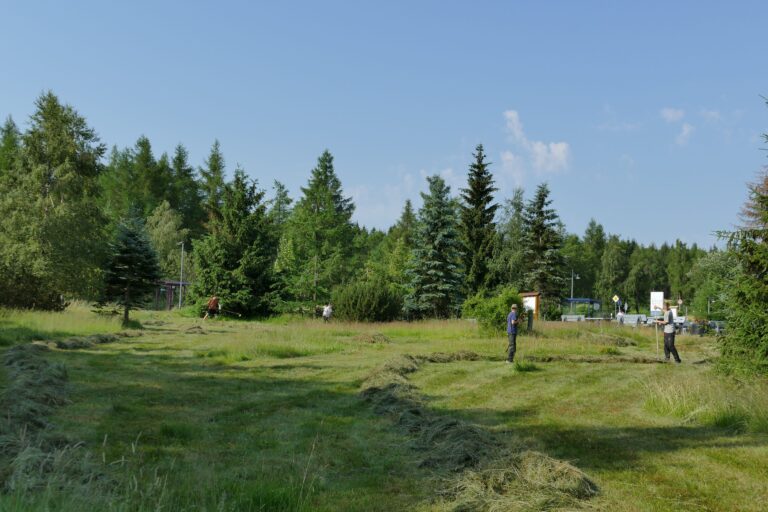 P1140474