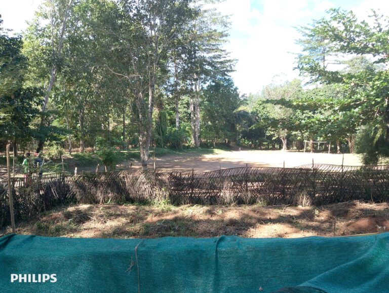 WhatsApp Image 2026-05-28 at 07.17.132222
