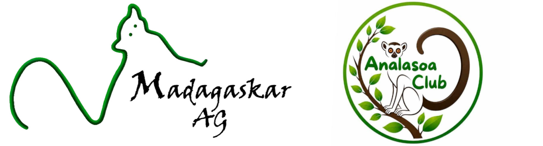 analasoa.org