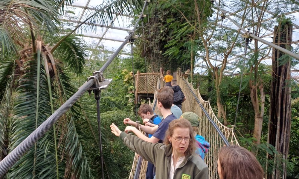 WhatsApp Image 2026-03-15 at 16.02.48