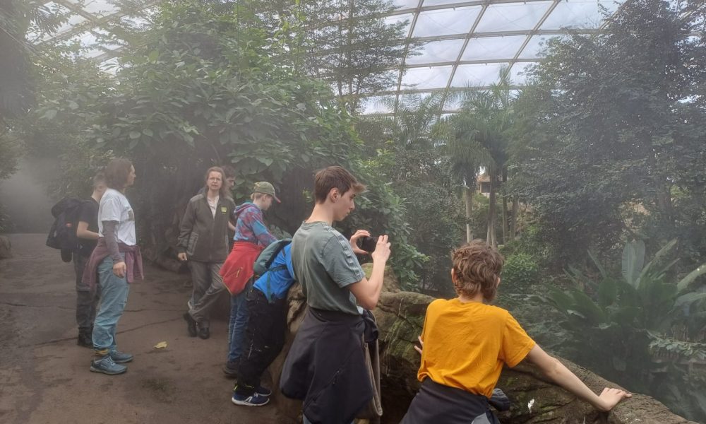 WhatsApp Image 2026-03-15 at 16.02.488