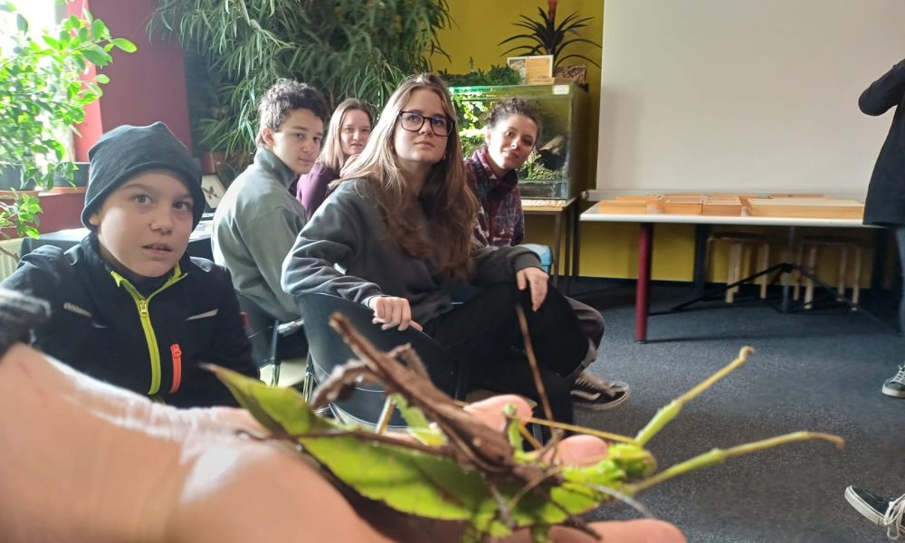 WhatsApp Image 2026-03-15 at 16.02.48888