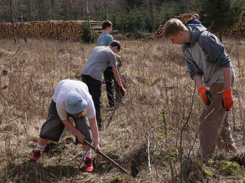 WhatsApp Image 2026-04-17 at 16.50.033