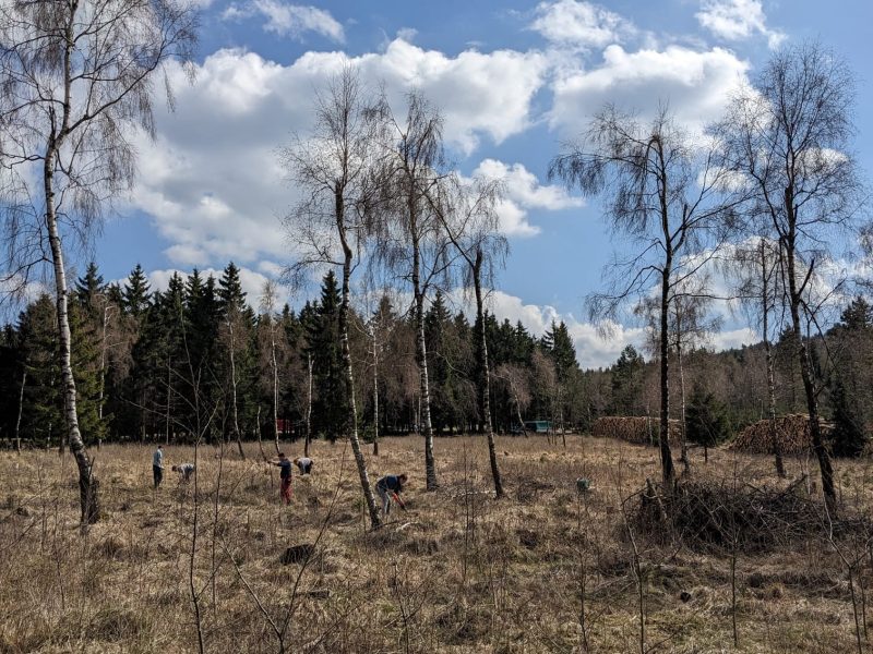 WhatsApp Image 2026-04-25 at 10.51.544